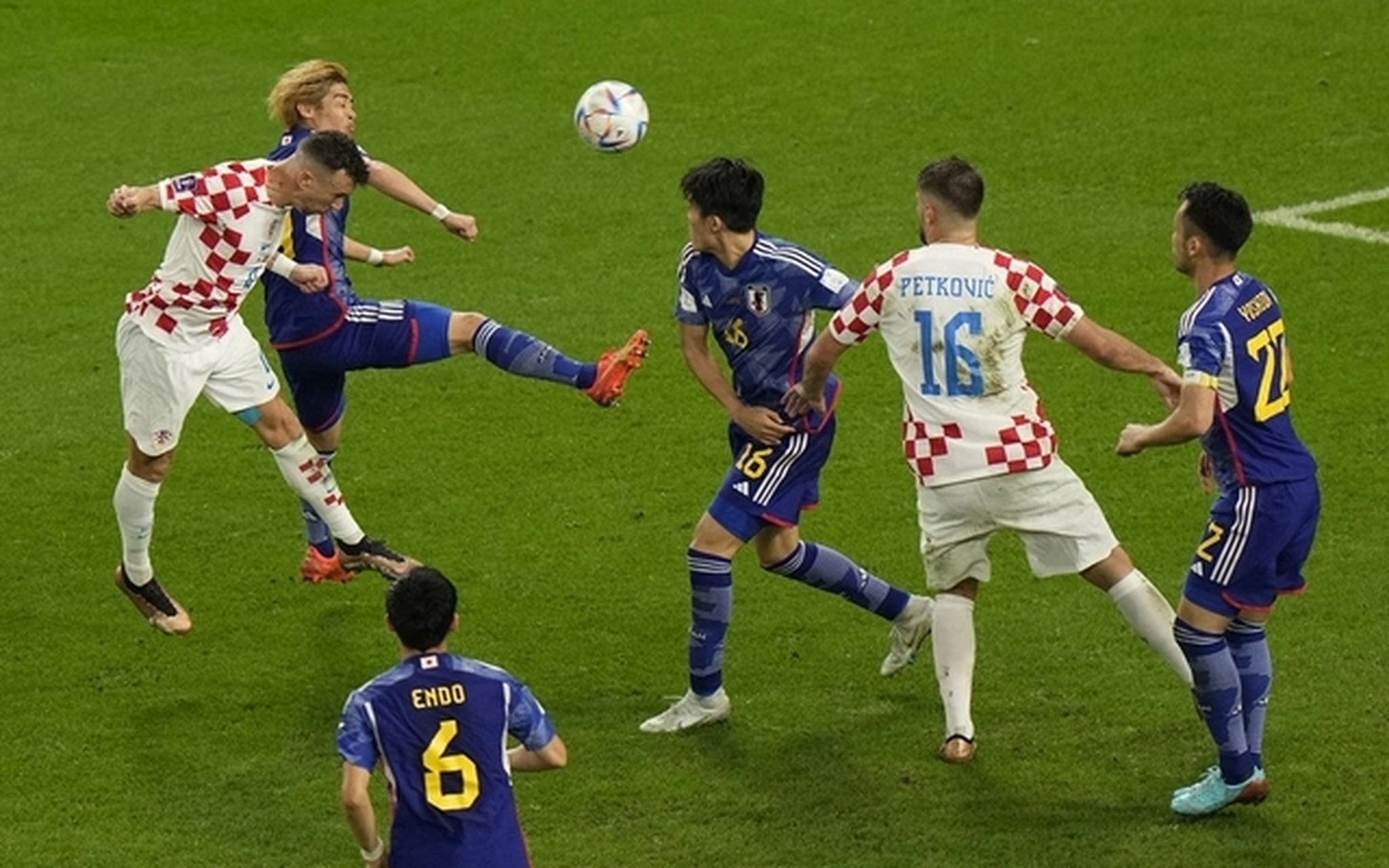 爱游戏官网-阿扎伦卡有几个大满贯